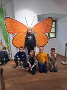 viber_slika_2025-10-08_15-27-53-342